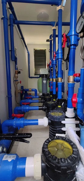 202005131746106061.jpg 600-2.jpg